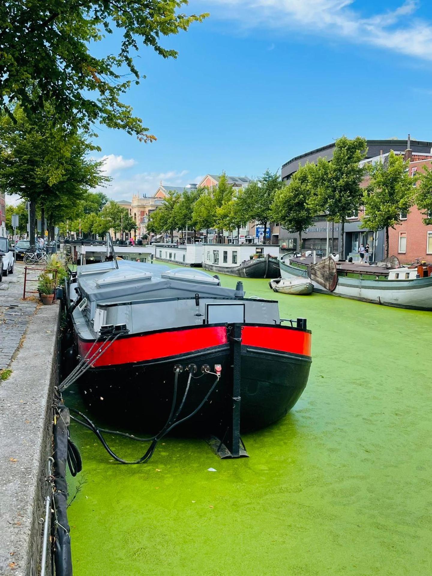 Guesthouse Het Gouden Eiland Veendam Екстериор снимка
